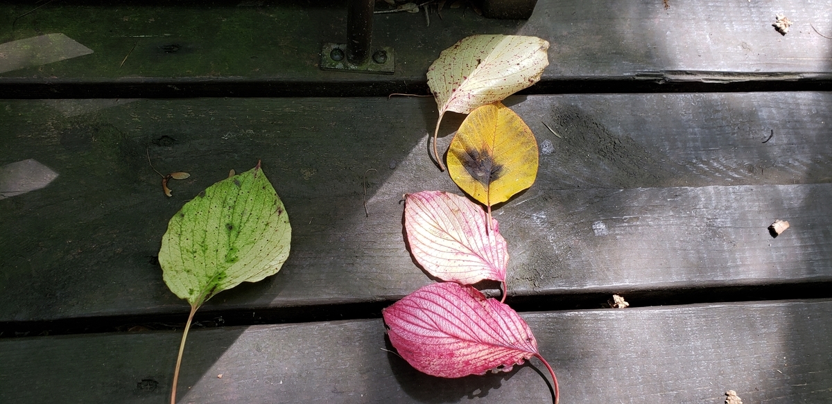 f:id:lavender38:20190904122157j:plain