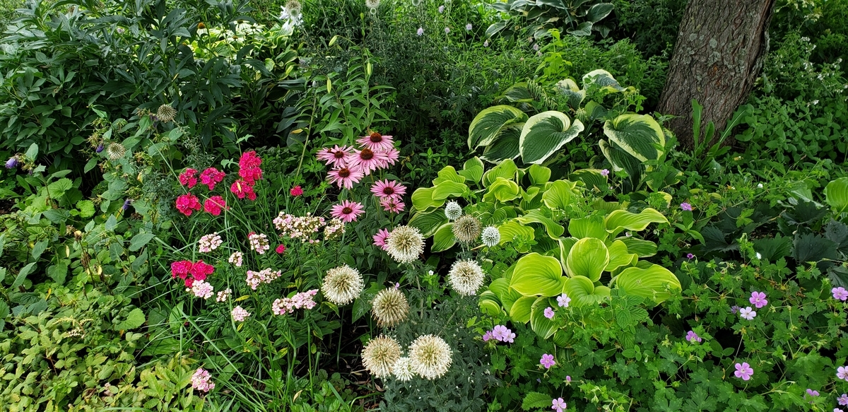 f:id:lavender38:20191001113652j:plain