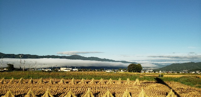 f:id:lavender38:20191024120048j:image f:id:lavender38:20191024120048j:image