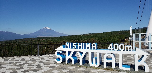 f:id:lavender38:20191126110937j:image