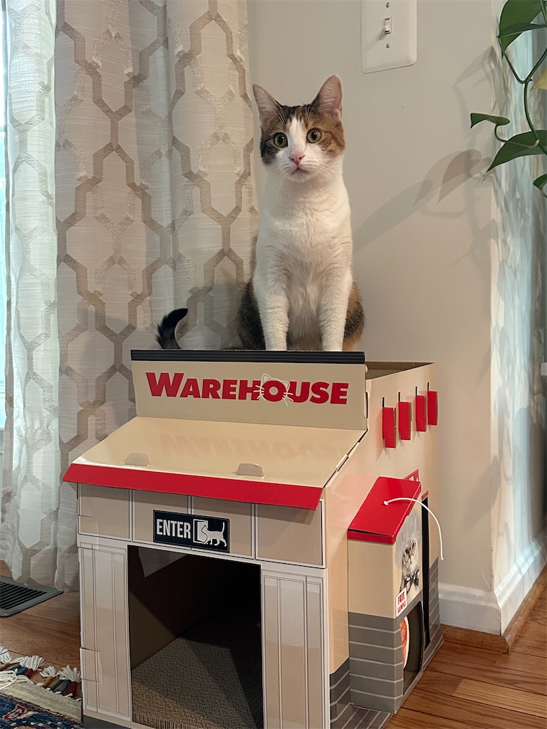 f:id:lavinla:20251004024934j:image