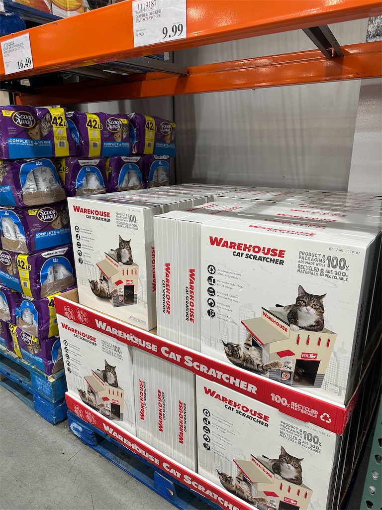 f:id:lavinla:20251004024945j:image