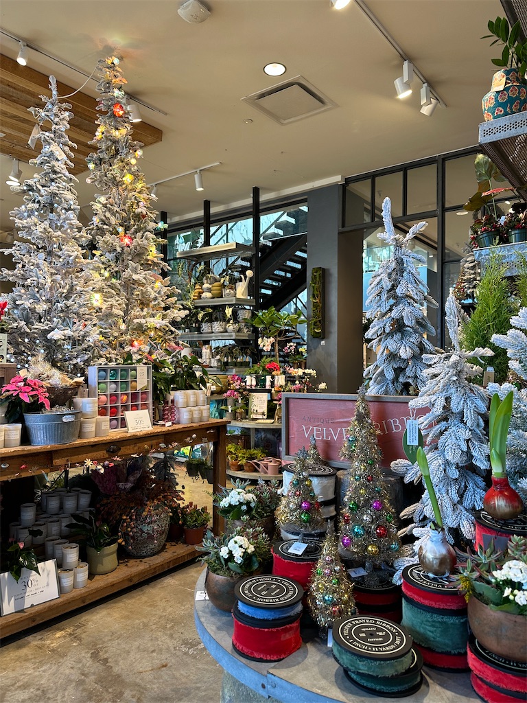 f:id:lavinla:20251203201427j:image