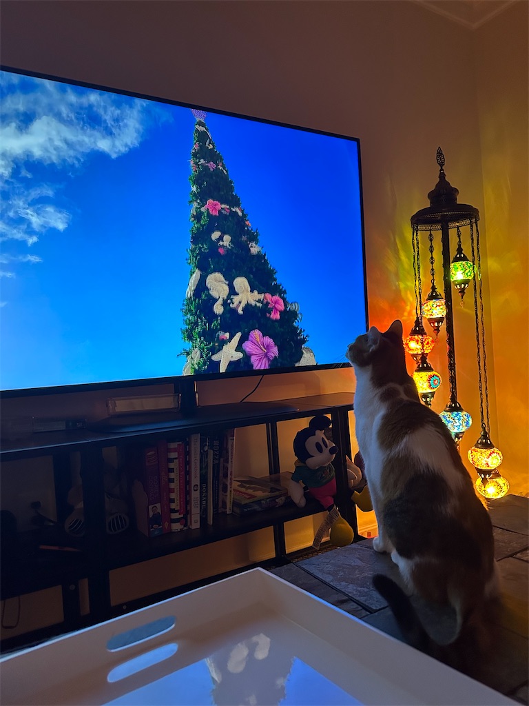 f:id:lavinla:20260102101348j:image