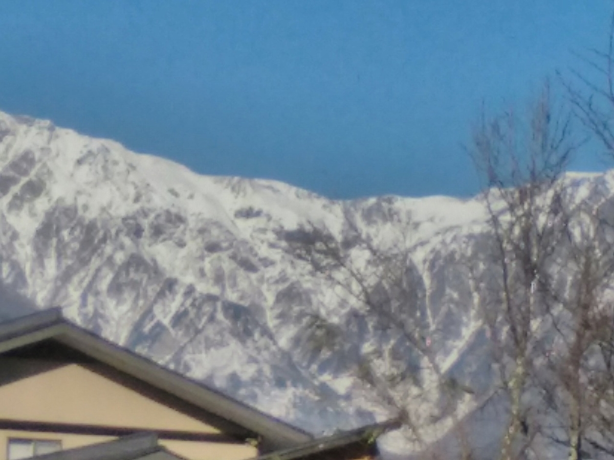 f:id:lawming:20201117210139j:plain