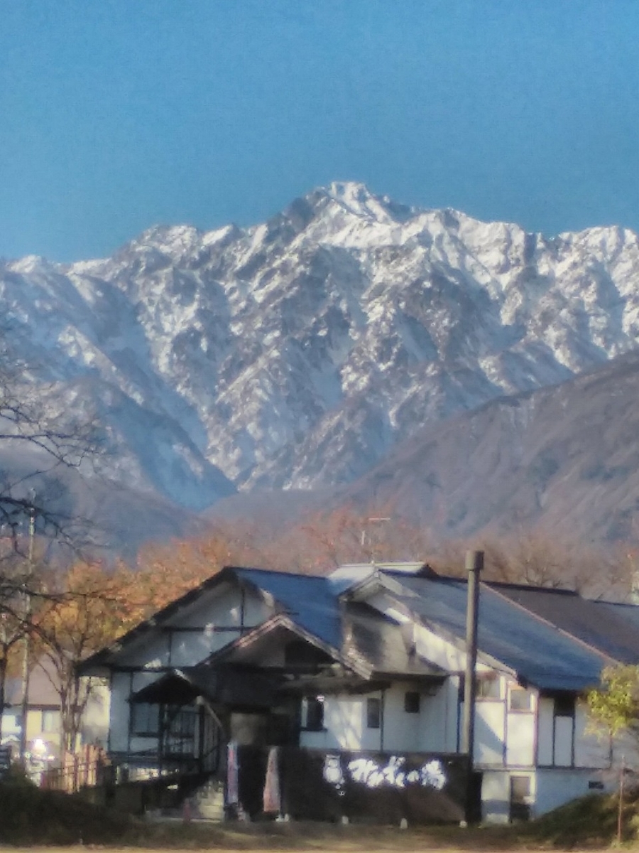 f:id:lawming:20201117210255j:plain
