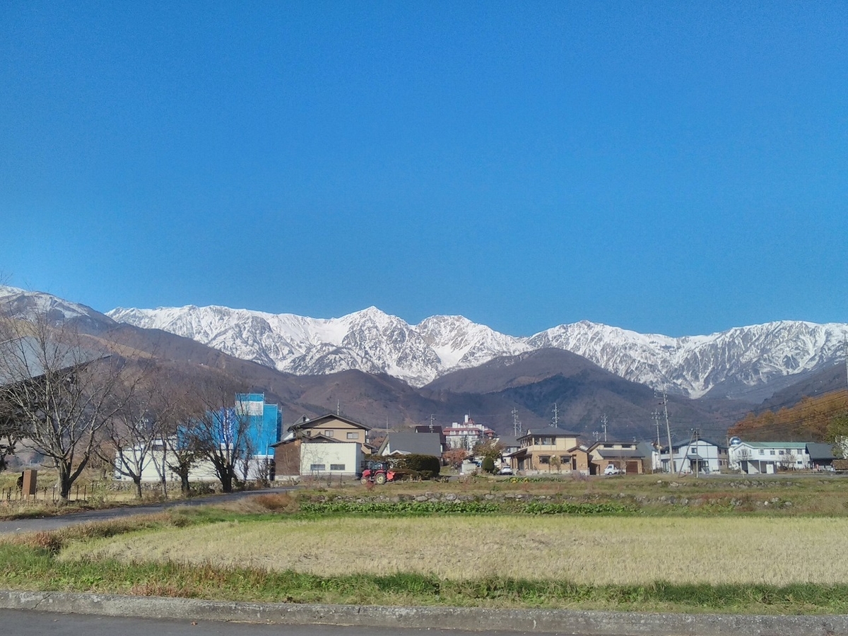 f:id:lawming:20201117210433j:plain