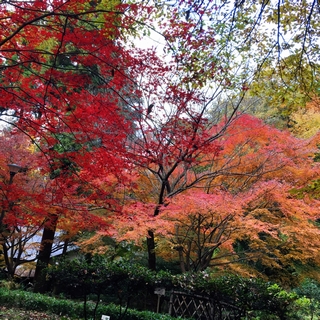f:id:lazing-around:20161211192847j:plain f:id:lazing-around:20161211192847j:plain