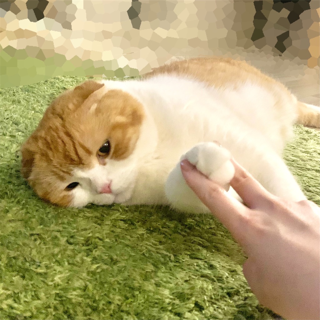 f:id:lazing-around:20210501153458j:image