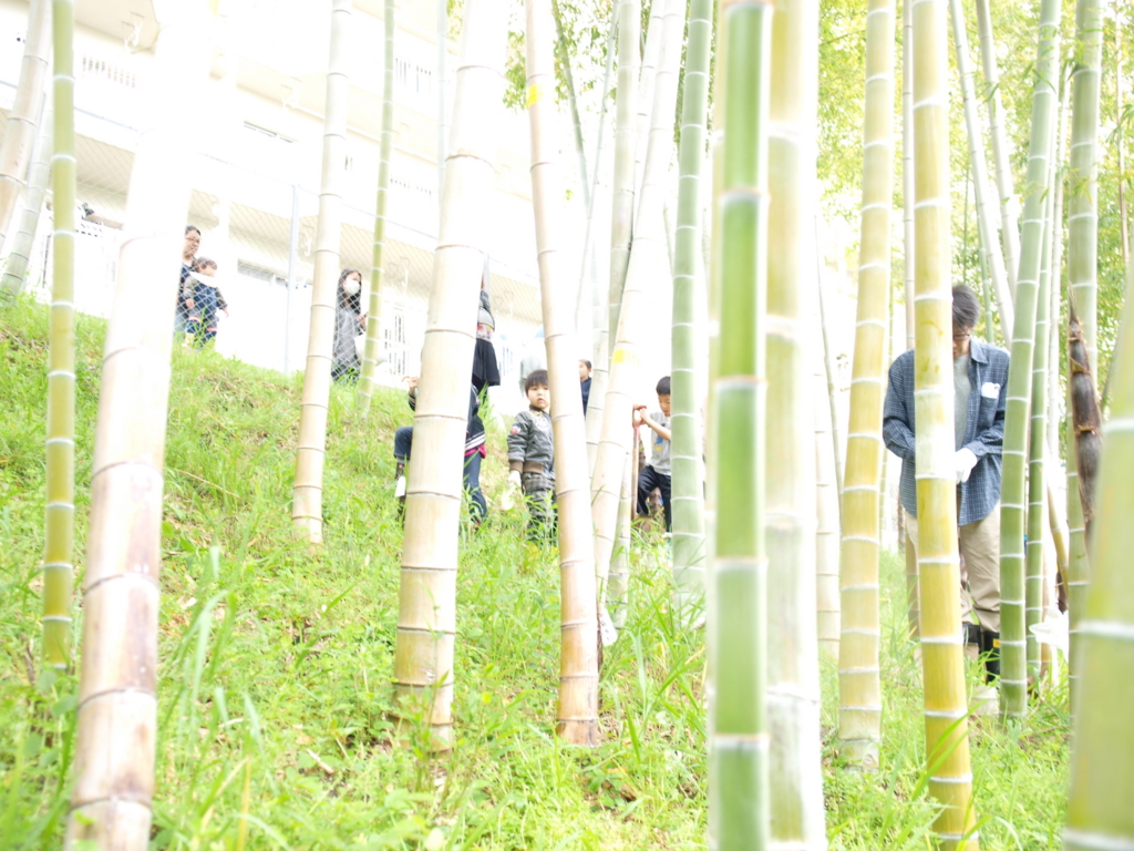 f:id:lazy-planet:20150419100620j:plain