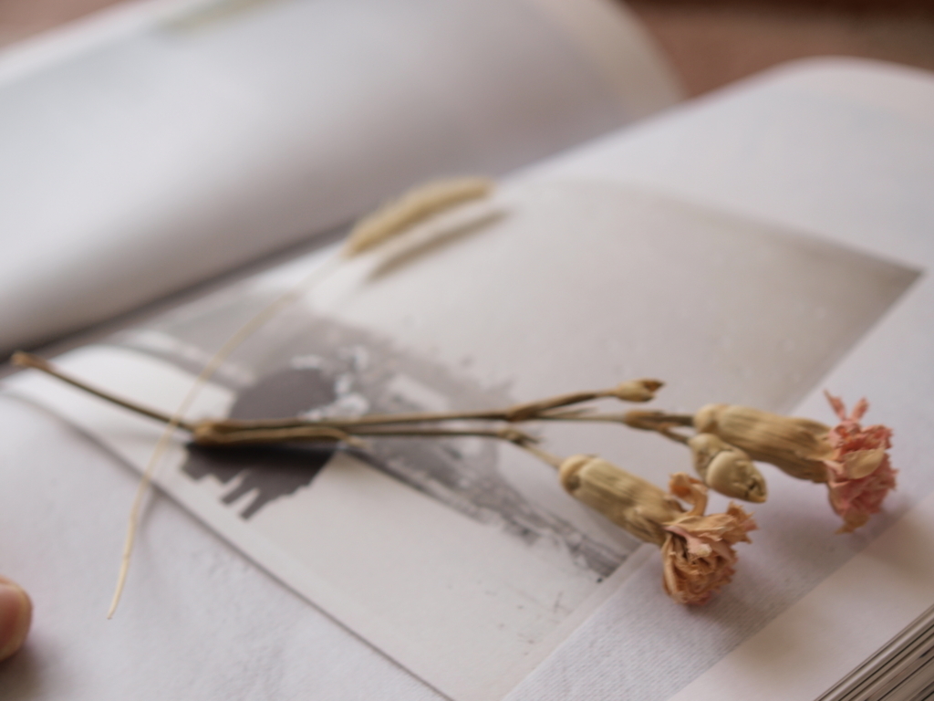 f:id:lazy-planet:20161211075425j:plain