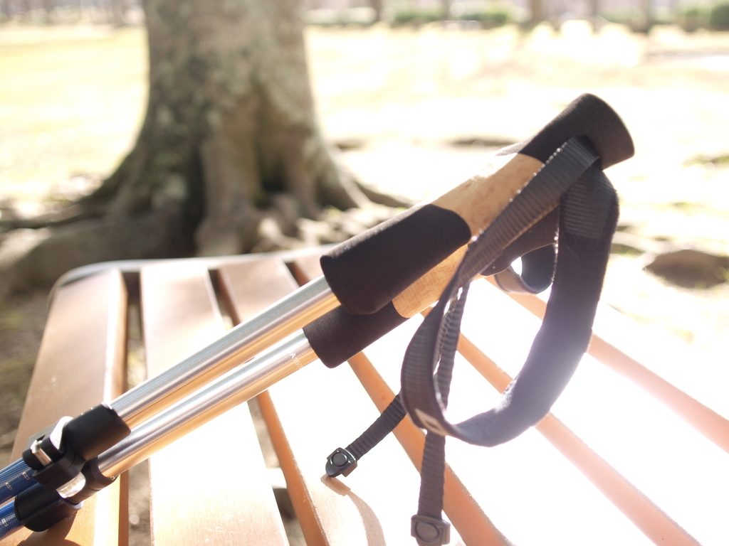 f:id:lazy-planet:20170210144834j:plain