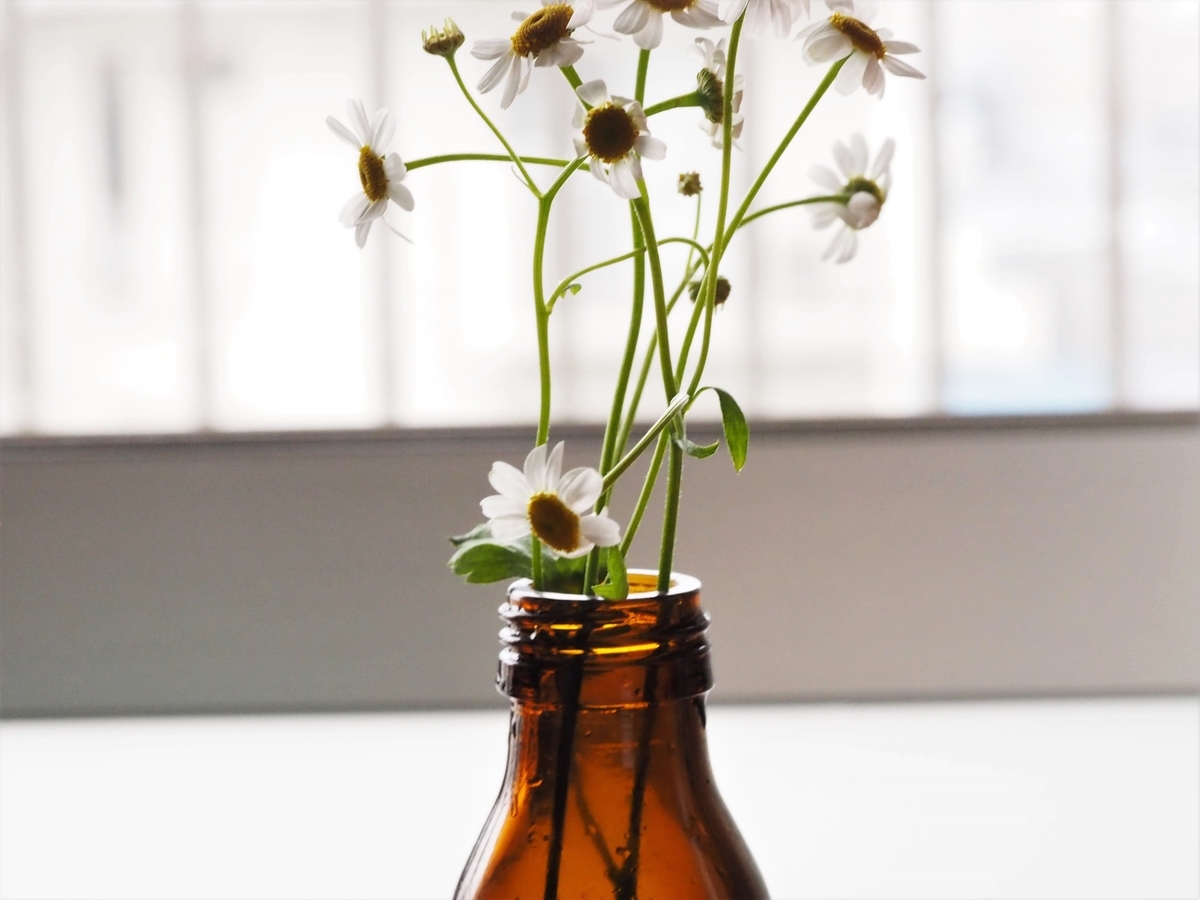 f:id:lazy-planet:20190306161558j:plain