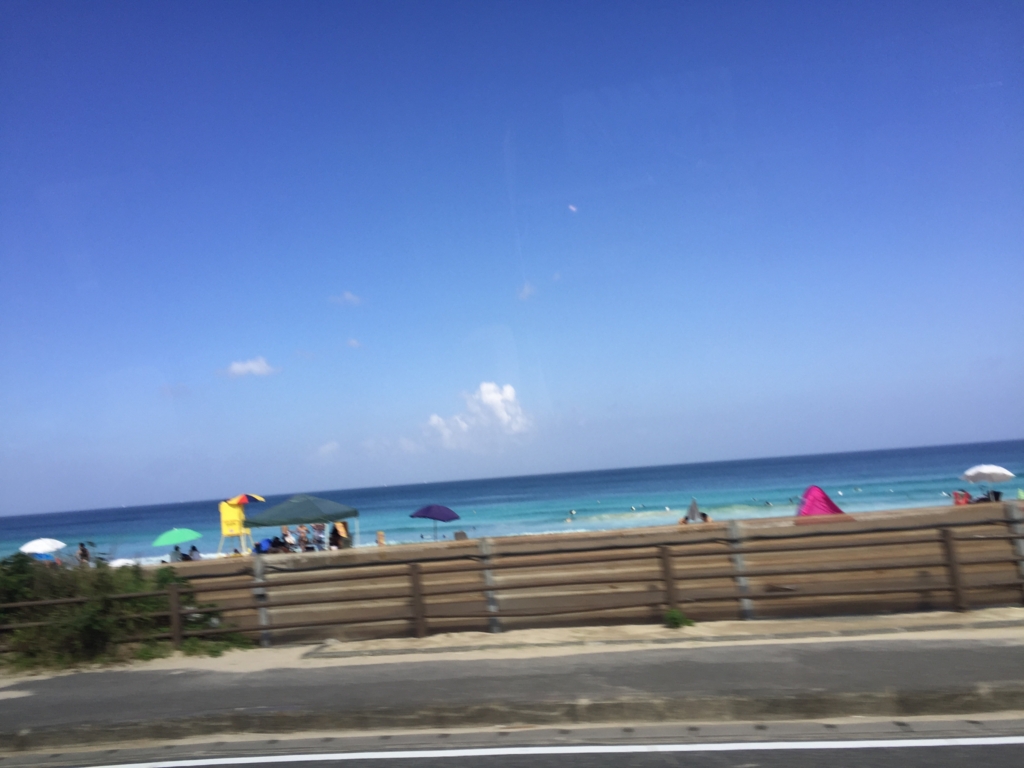 伊豆・下田①：スーパービュー踊り子号で行く白浜大浜海水浴場と一面海！の下田プリンスホテル ビーチリゾートとヨーロッパの旅行記