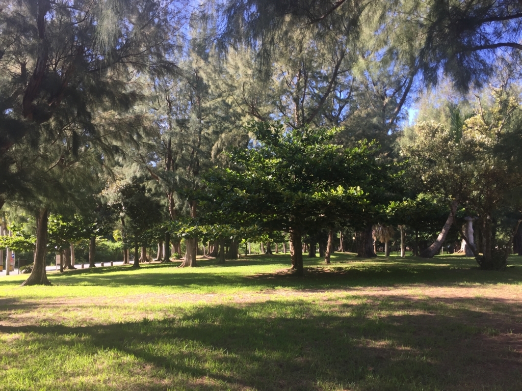 f:id:lazytraveler:20170910225217j:plain f:id:lazytraveler:20170910225217j:plain