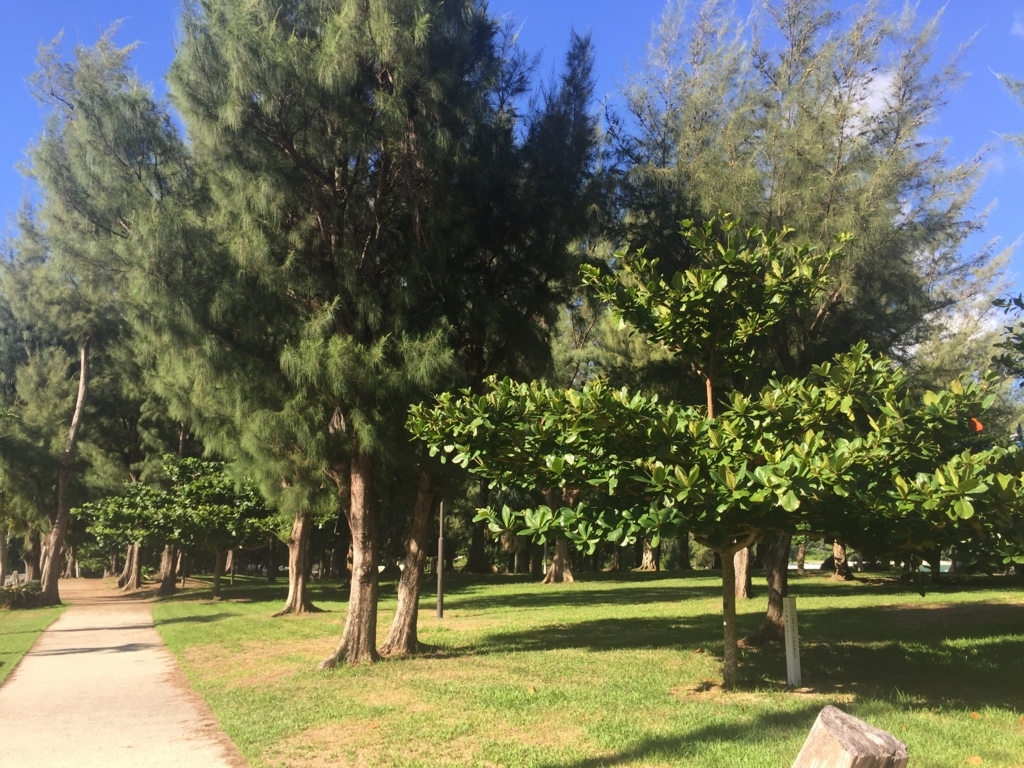 f:id:lazytraveler:20170910225704j:plain f:id:lazytraveler:20170910225704j:plain