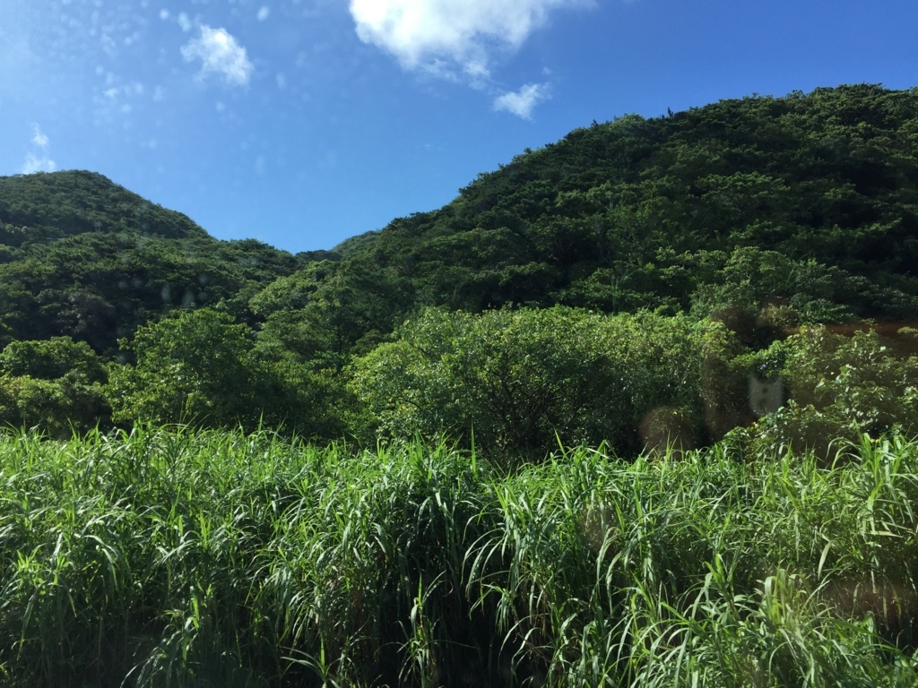 f:id:lazytraveler:20170917234912j:plain f:id:lazytraveler:20170917234912j:plain