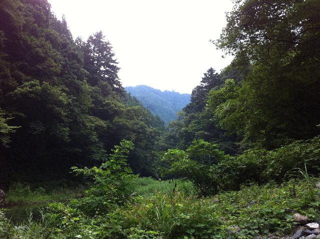 f:id:le-courage:20110817115148j:image f:id:le-courage:20110817115148j:image