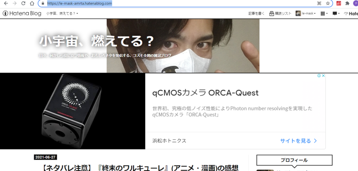 f:id:le-mask:20210701031200p:plain