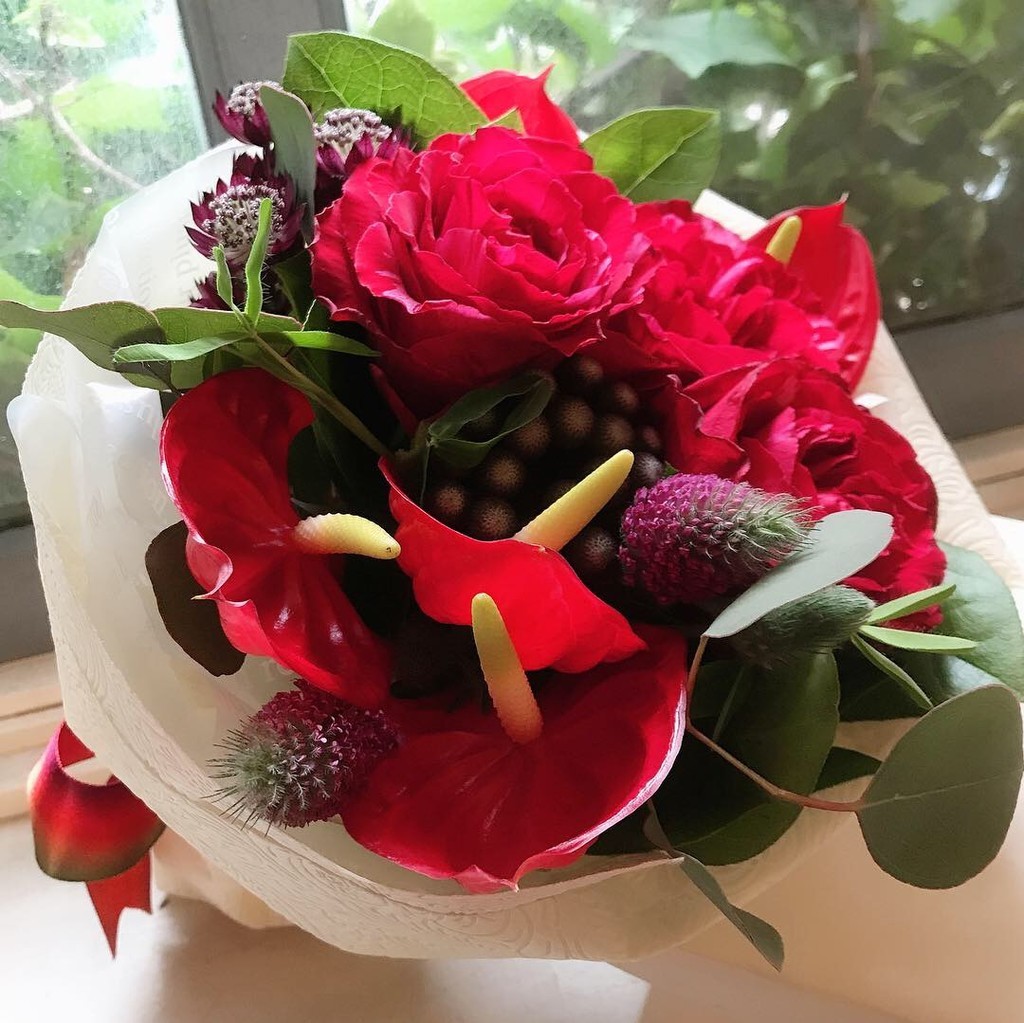 f:id:le-soleil:20190210183038j:plain f:id:le-soleil:20190210183038j:plain