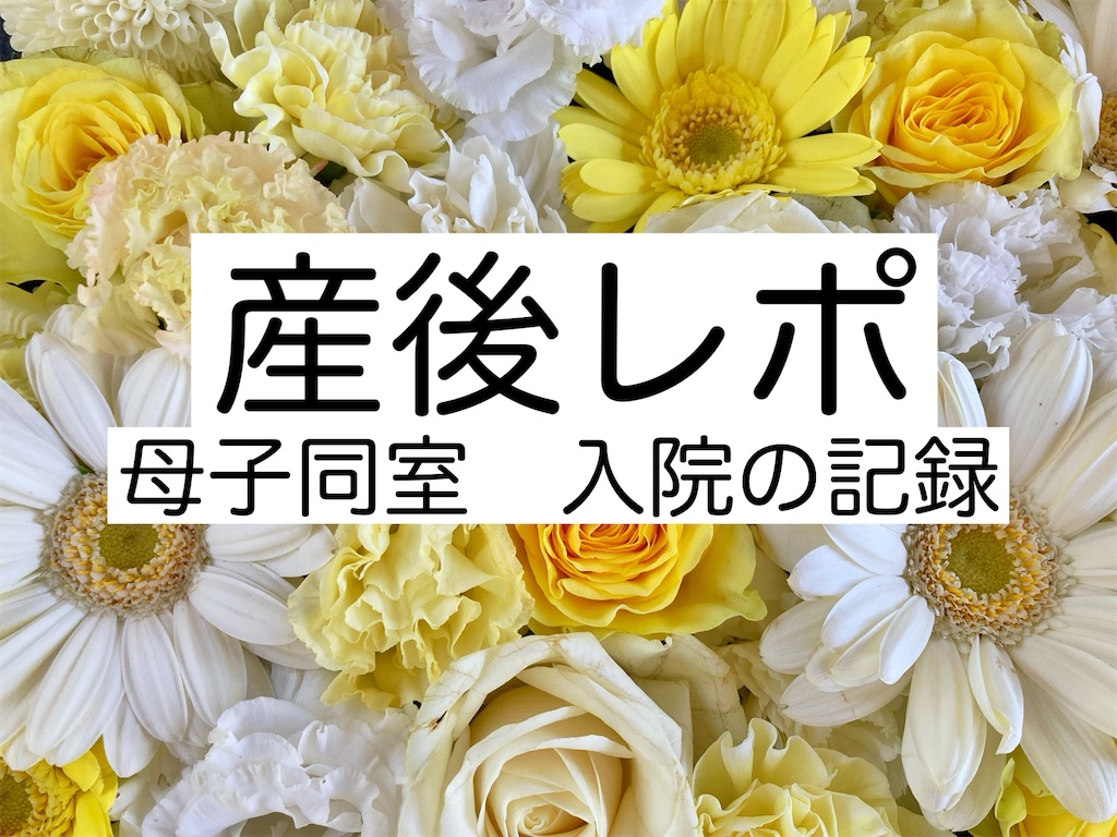 f:id:le_lien:20250708153234j:image