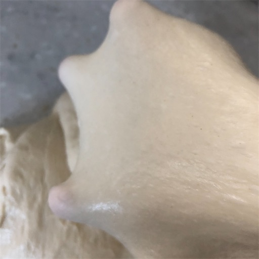 f:id:le_mat-0:20210625064538j:image