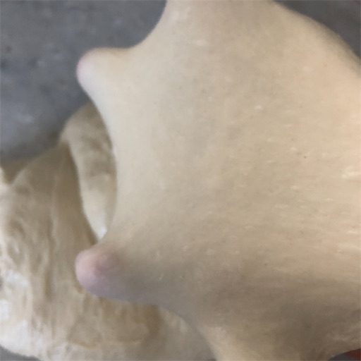 f:id:le_mat-0:20210625064541j:plain