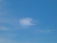 f:id:le_ramier:20090623214936j:image