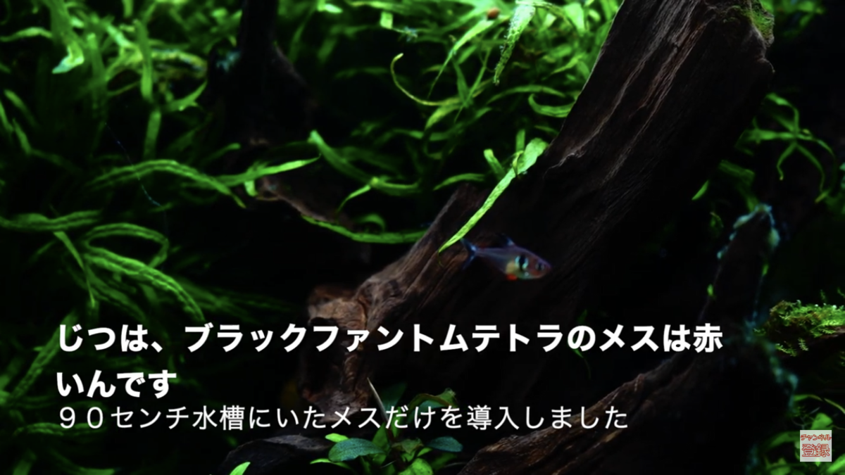 f:id:leaderskill:20200413121404p:plain