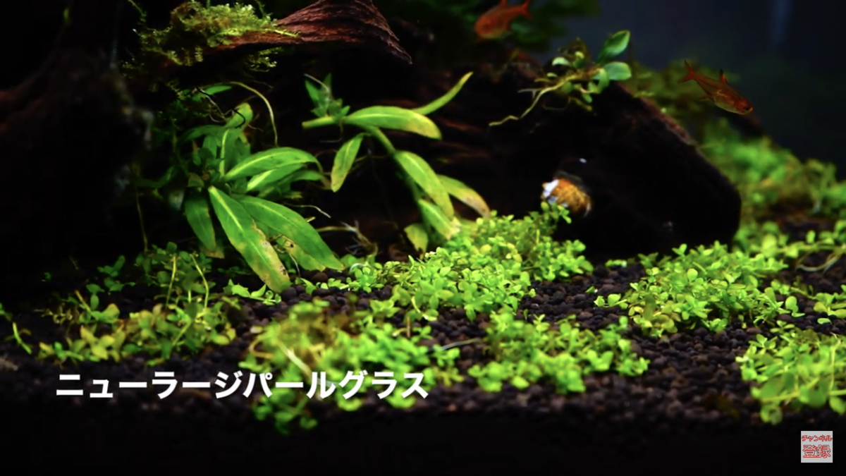 f:id:leaderskill:20200413122316p:plain