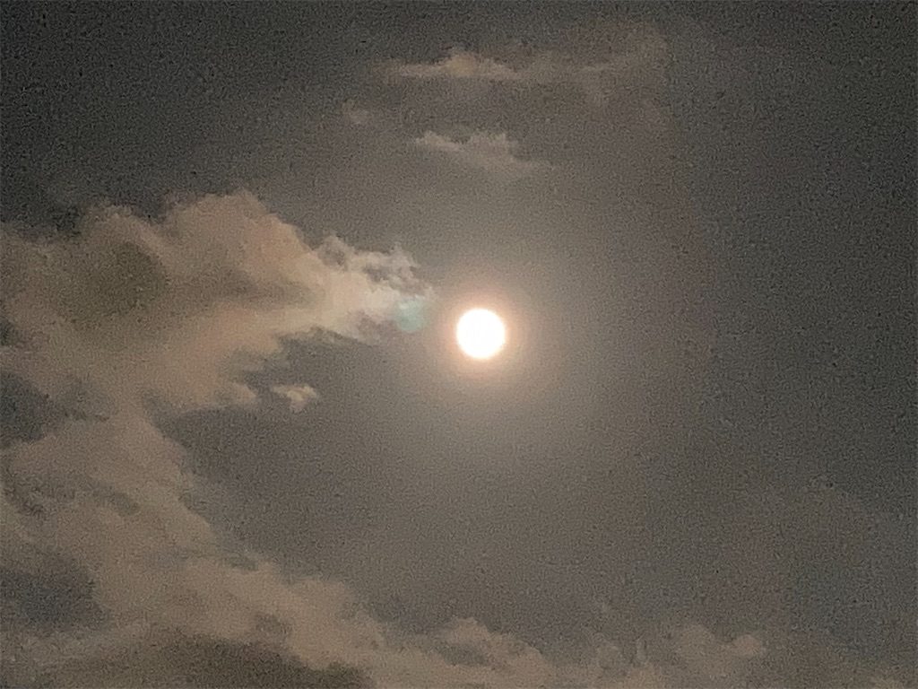 f:id:leafchild821:20210921203550j:image