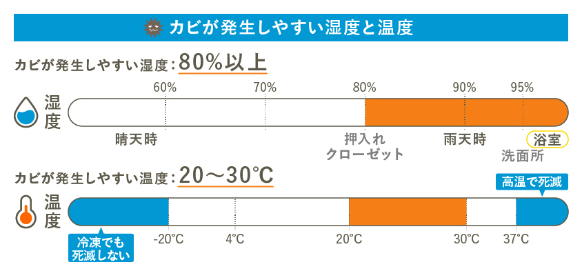 20250611171440.jpg