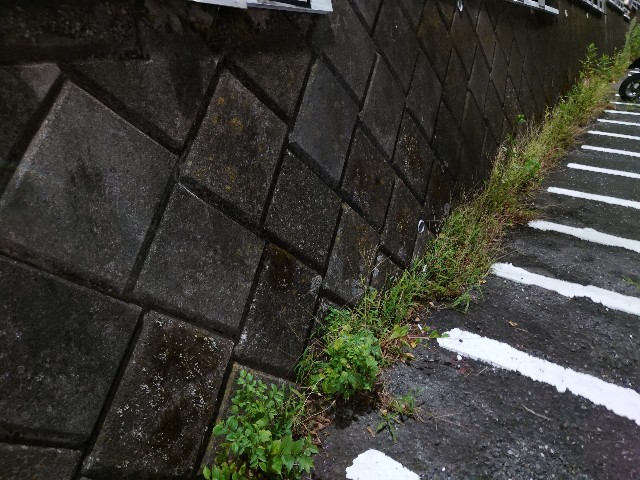 f:id:leak1710021:20250815181110j:image