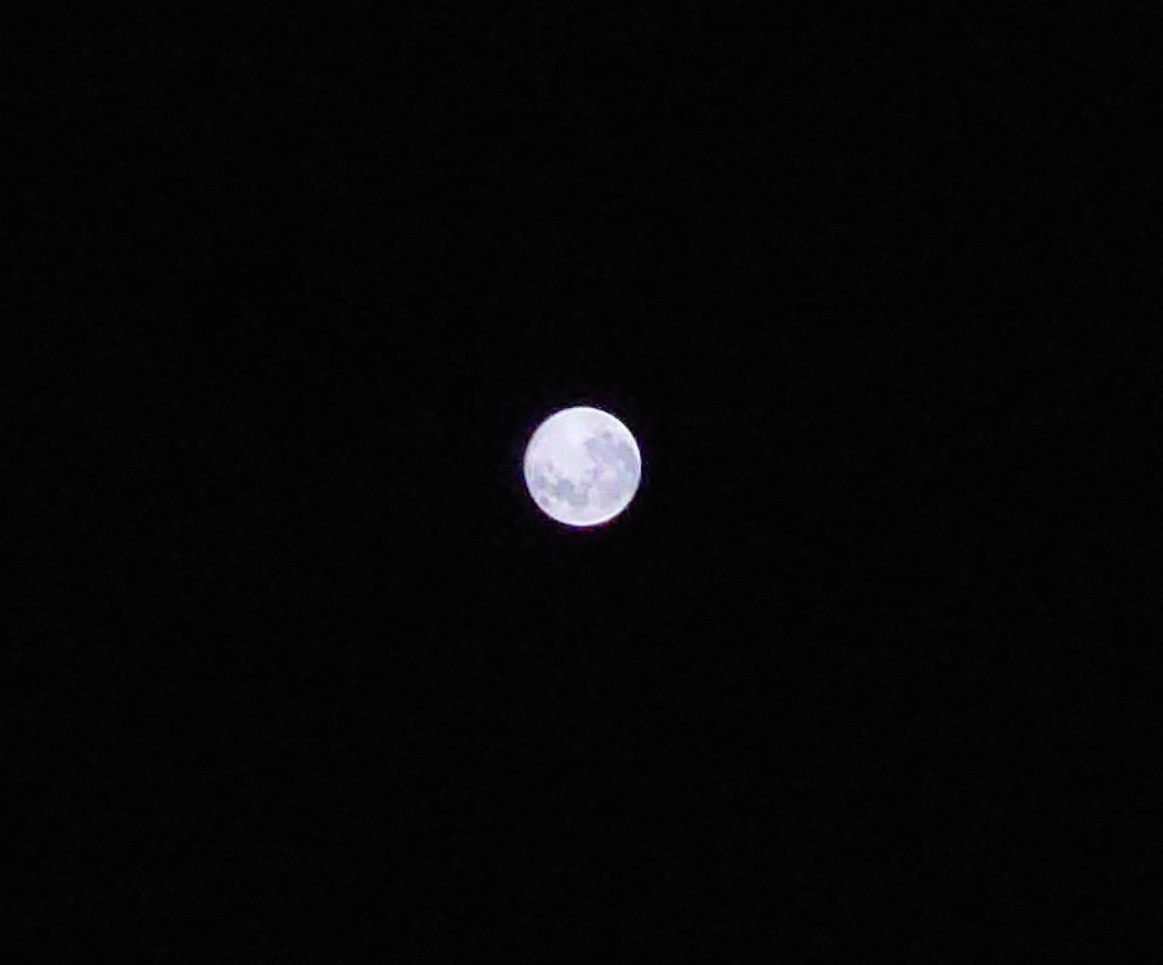 f:id:leak1710021:20251207133442j:image f:id:leak1710021:20251207133442j:image