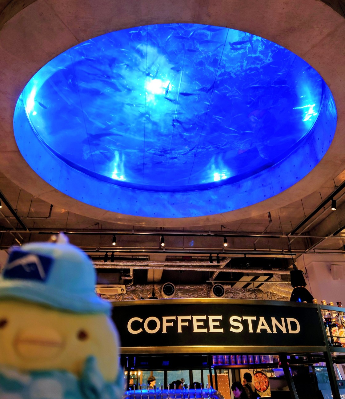 f:id:leak1710021:20251225163740j:image