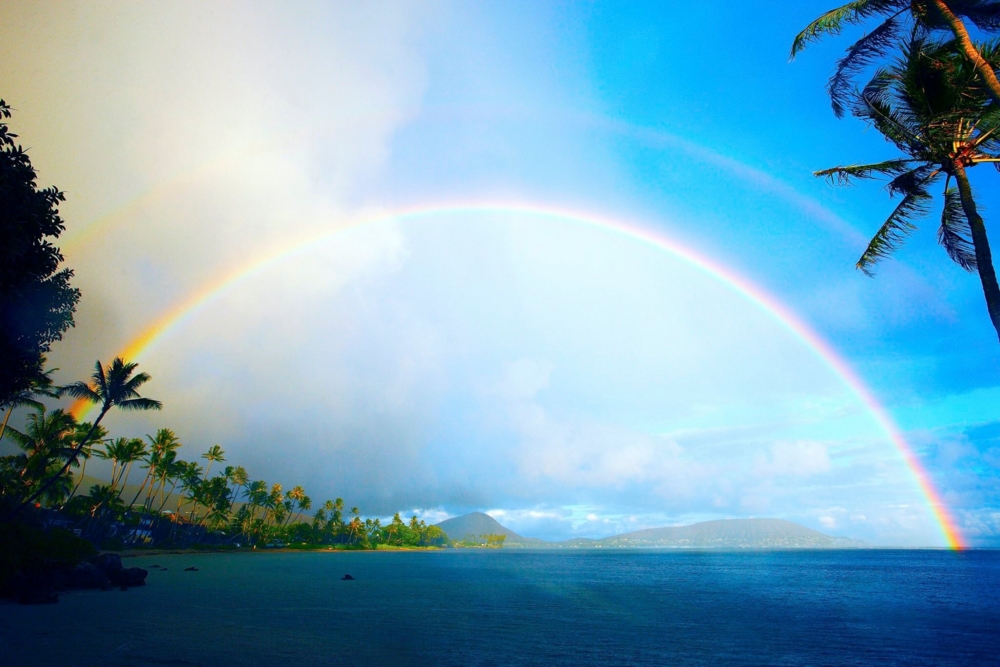 f:id:leanani:20160623082508j:plain