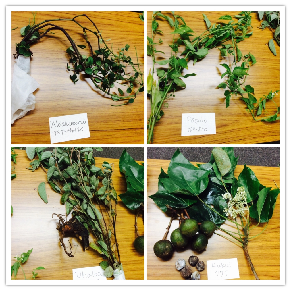 f:id:leanani:20160813012735j:plain