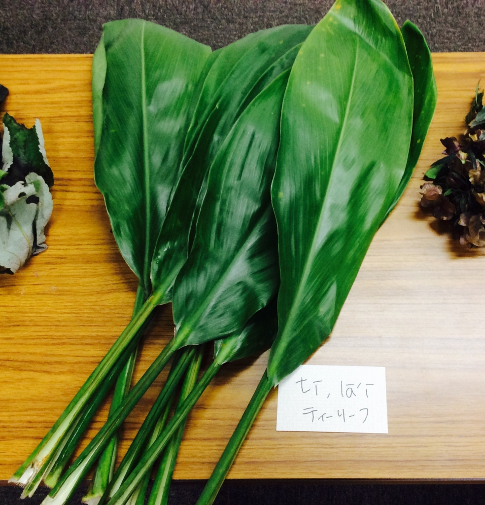 f:id:leanani:20160813014243j:plain