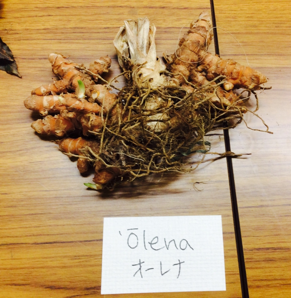 f:id:leanani:20160813035320j:plain