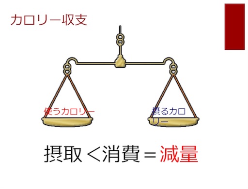 f:id:leanbody3104:20190911090451j:image f:id:leanbody3104:20190911090451j:image