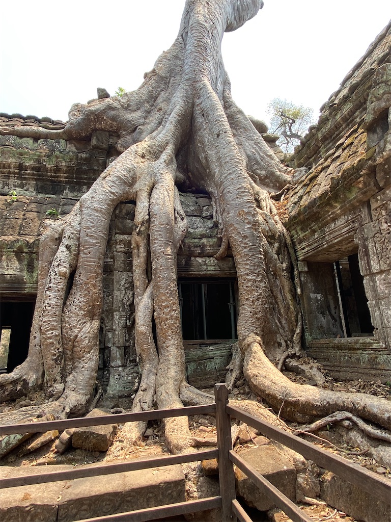 f:id:learnthings:20200402153644j:image