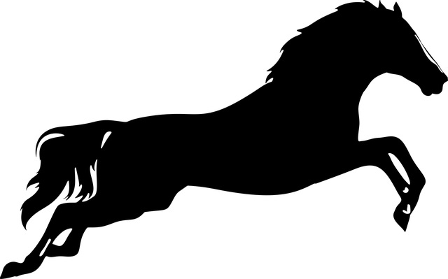 f:id:leather0start:20190310193317j:plain f:id:leather0start:20190310193317j:plain