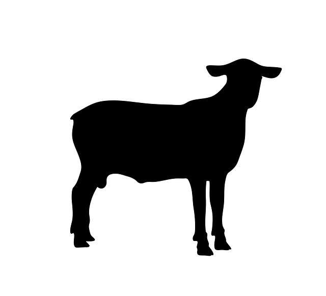f:id:leather0start:20190310193336j:plain f:id:leather0start:20190310193336j:plain