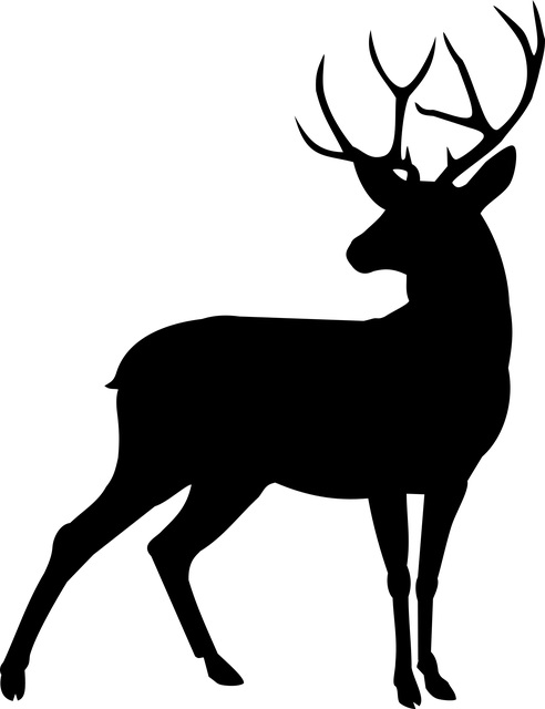 f:id:leather0start:20190310193413j:plain f:id:leather0start:20190310193413j:plain