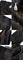 20250326201733