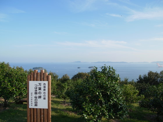 イメージ 6