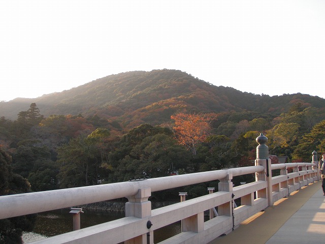 イメージ 18