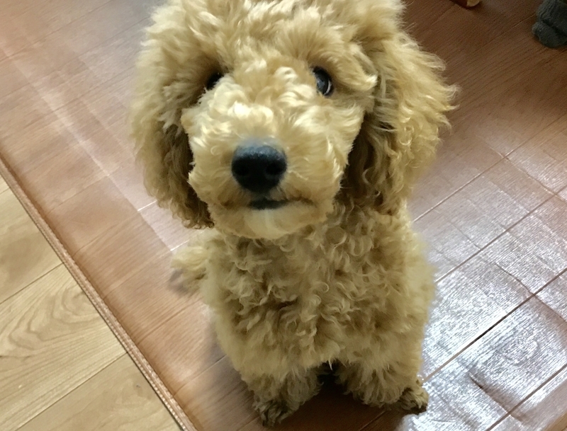 イメージ 3