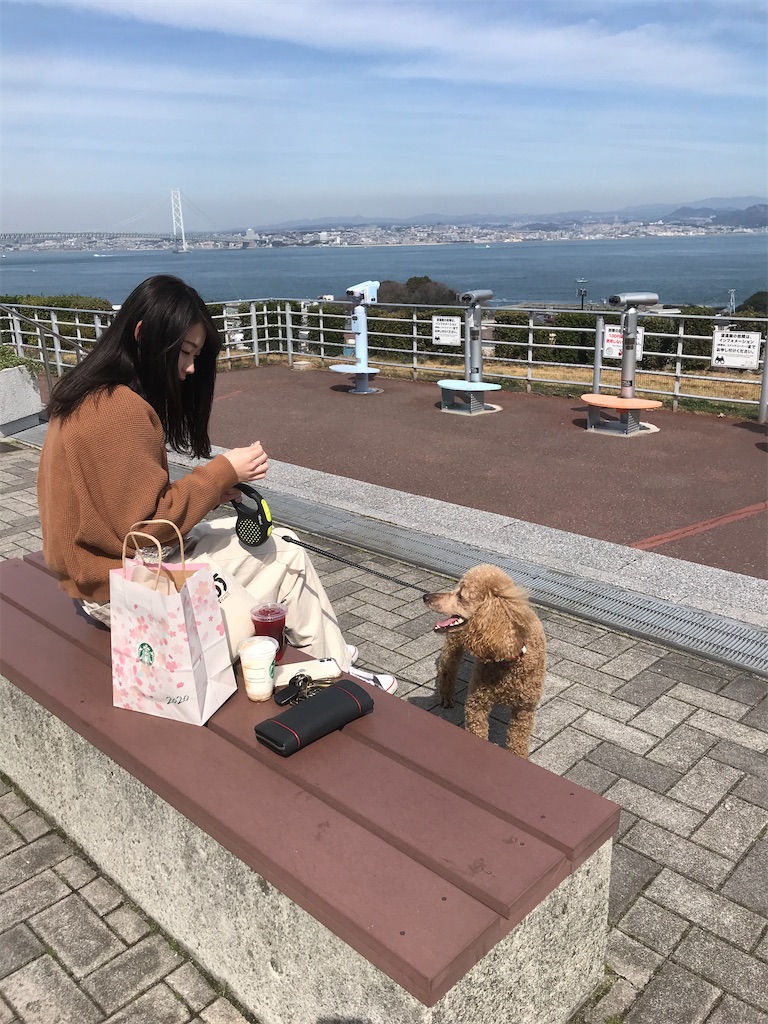 f:id:lebel:20200314111516j:image f:id:lebel:20200314111516j:image