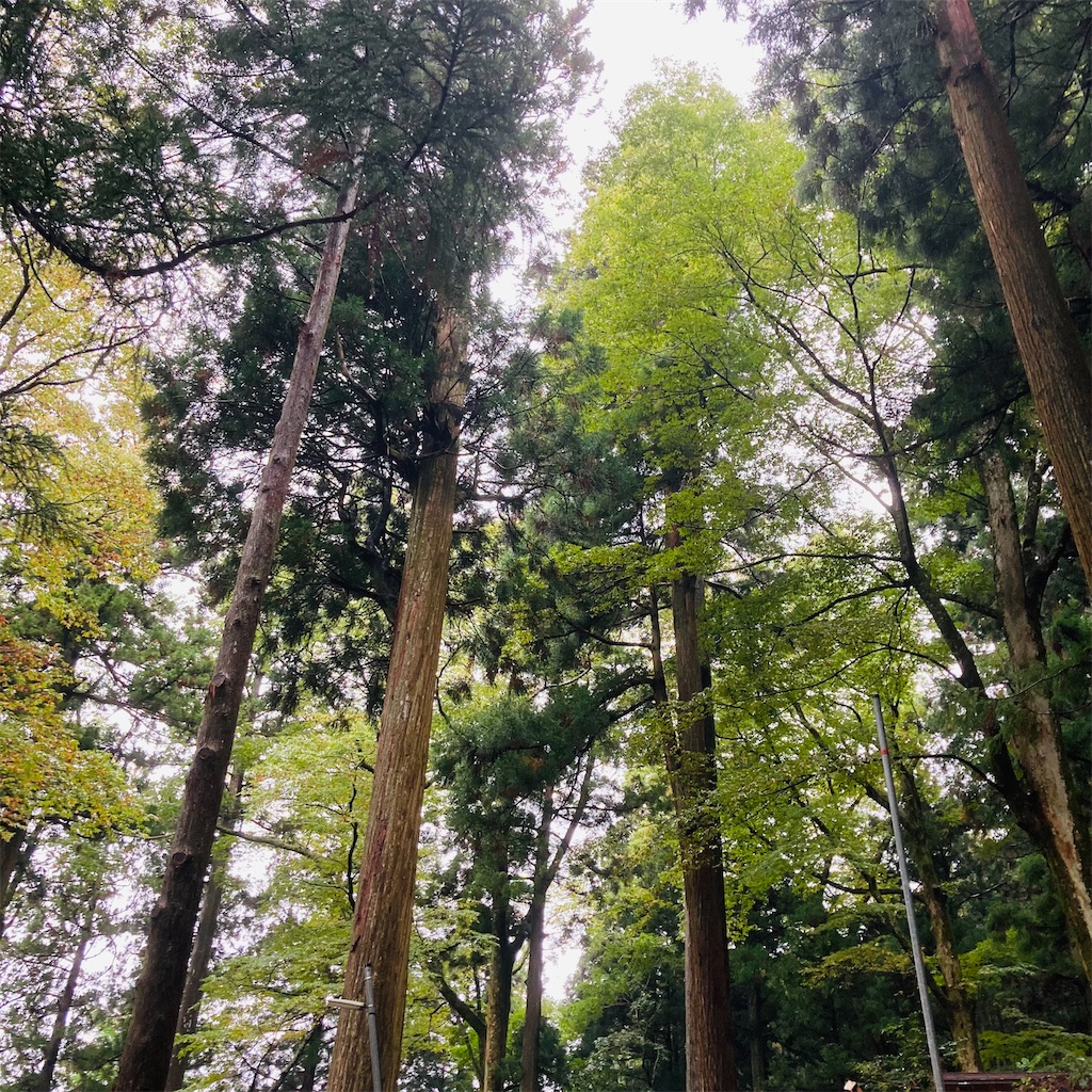 f:id:lebentur105:20211020083148j:image